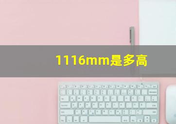 1116mm是多高