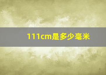 111cm是多少毫米