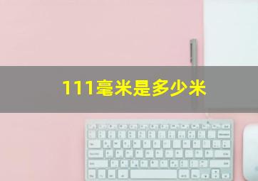 111毫米是多少米