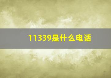 11339是什么电话