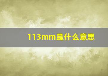 113mm是什么意思