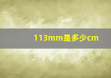 113mm是多少cm