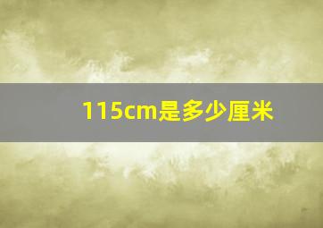 115cm是多少厘米