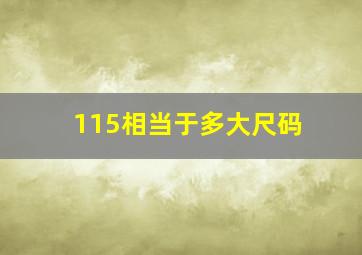 115相当于多大尺码