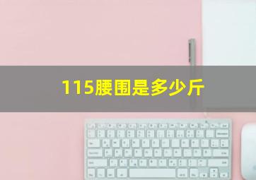 115腰围是多少斤