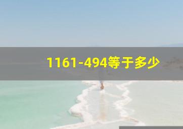 1161-494等于多少