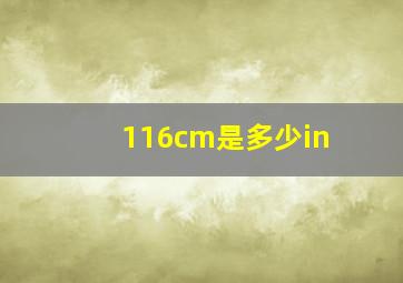 116cm是多少in