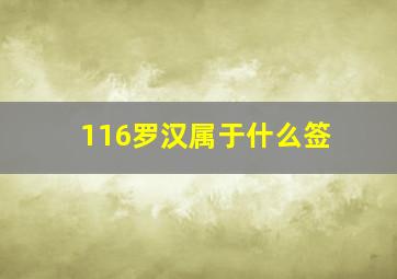 116罗汉属于什么签