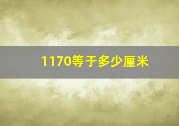 1170等于多少厘米