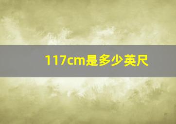 117cm是多少英尺