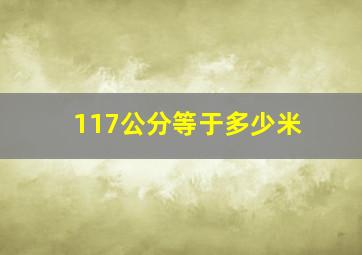 117公分等于多少米