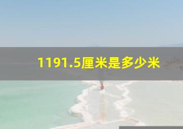 1191.5厘米是多少米