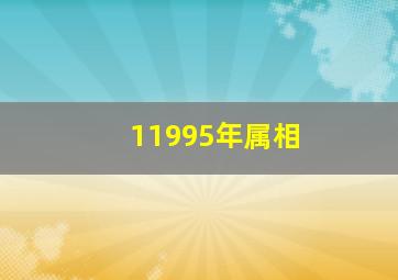 11995年属相