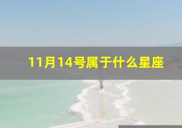 11月14号属于什么星座