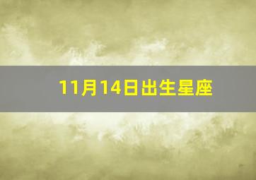 11月14日出生星座