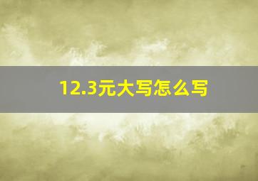 12.3元大写怎么写