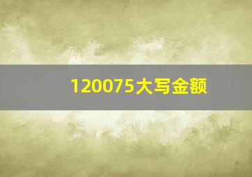 120075大写金额