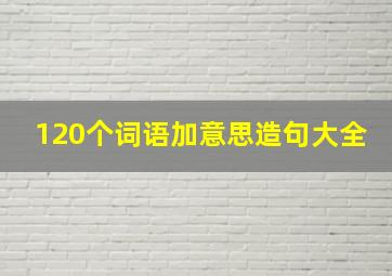 120个词语加意思造句大全