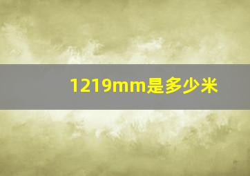 1219mm是多少米