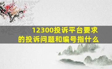 12300投诉平台要求的投诉问题和编号指什么