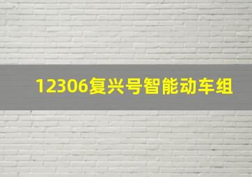 12306复兴号智能动车组