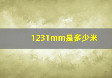 1231mm是多少米