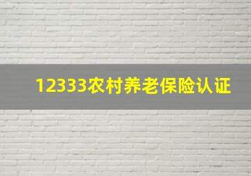 12333农村养老保险认证