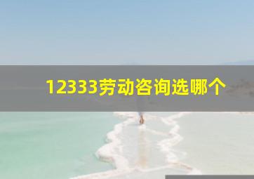 12333劳动咨询选哪个