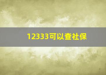 12333可以查社保