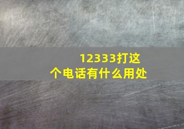 12333打这个电话有什么用处