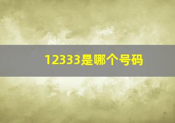 12333是哪个号码