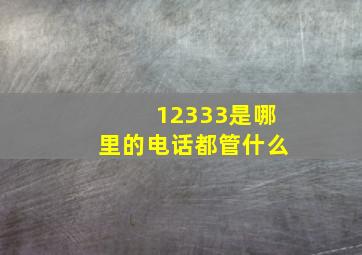 12333是哪里的电话都管什么