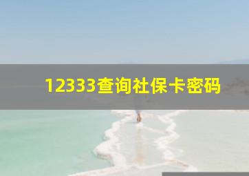 12333查询社保卡密码