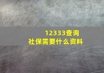 12333查询社保需要什么资料