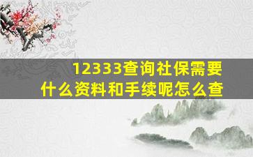 12333查询社保需要什么资料和手续呢怎么查