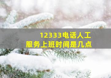 12333电话人工服务上班时间是几点