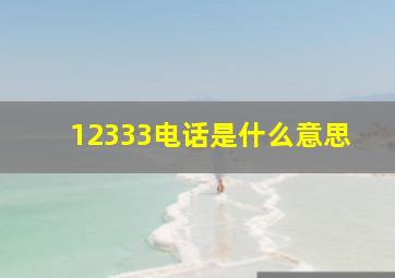 12333电话是什么意思