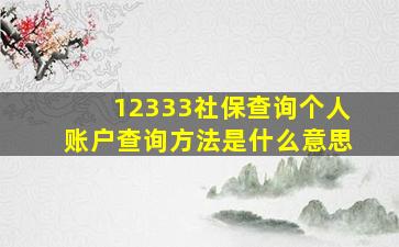 12333社保查询个人账户查询方法是什么意思