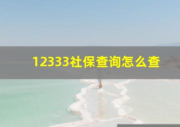 12333社保查询怎么查