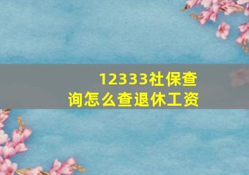 12333社保查询怎么查退休工资