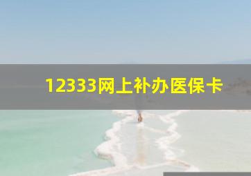 12333网上补办医保卡