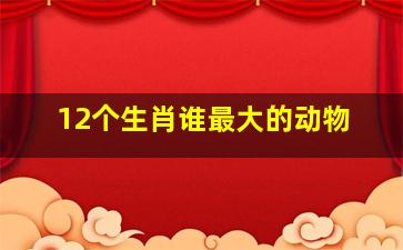 12个生肖谁最大的动物