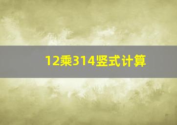 12乘314竖式计算