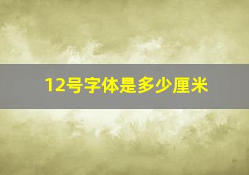 12号字体是多少厘米