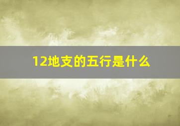 12地支的五行是什么