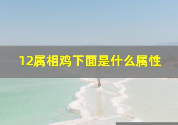 12属相鸡下面是什么属性