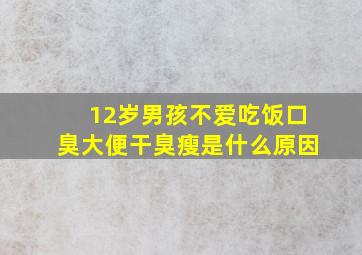 12岁男孩不爱吃饭口臭大便干臭瘦是什么原因