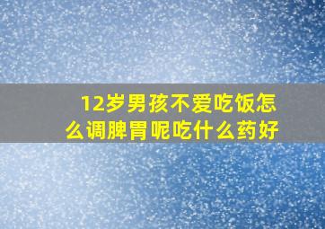 12岁男孩不爱吃饭怎么调脾胃呢吃什么药好