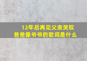 12年后再见父亲哭叹爸爸像爷爷的歌词是什么