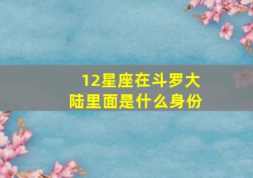 12星座在斗罗大陆里面是什么身份